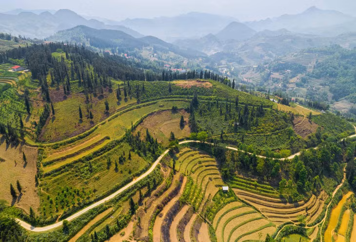 Vào mỗi mùa, thảo nguyên Suôi Thầu sẽ mang vẻ đẹp khác nhau. Nếu đến Suôi Thầu vào mùa Xuân, du khách sẽ thấy bức tranh rực rỡ của hoa cải vàng. Đến vào mùa Hạ, du khách sẽ được chiêm ngưỡng một màu xanh dịu mát của những nương ngô, nương lúa… Ảnh: Van Ngo