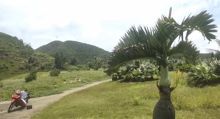 Việc chậm triển khai thực hiện dự án đã gây lãng phí lớn về tài nguyên đất.