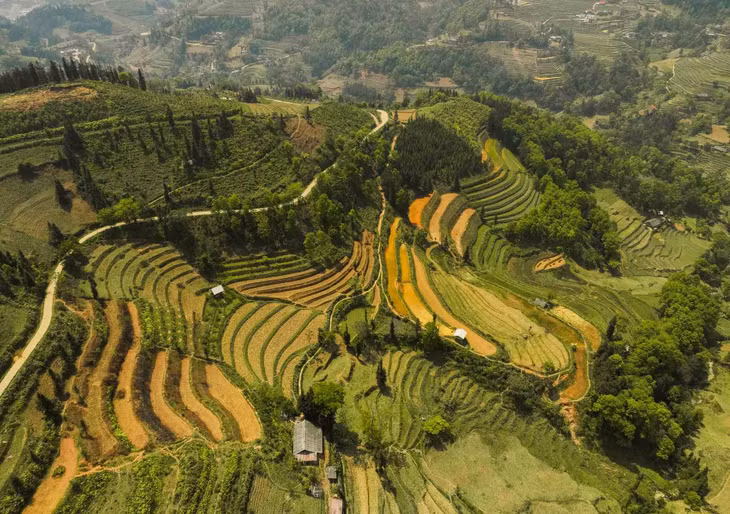 Đến đây, du khách cũng có thể ngắm những thửa ruộng bậc thang tầng tầng lớp lớp. Ảnh: Van Ngo