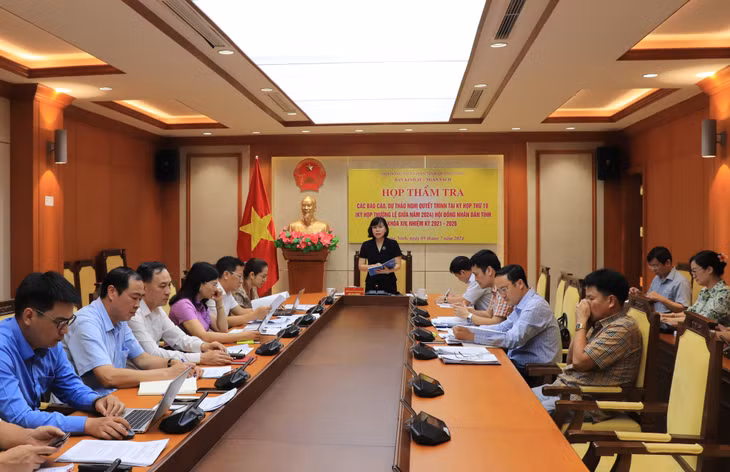 Đồng chí Bùi Thị Hương, Trưởng Ban Kinh tế - Ngân sách, HĐND tỉnh phát biểu tại cuộc họp