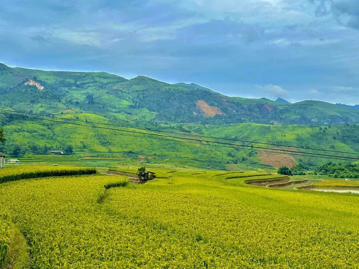 Mù Cang Chải cách trung tâm thành phố Yên Bái khoảng 180km và cách thủ đô Hà Nội hơn 300km về phía Tây Bắc. Huyện nằm dưới chân dãy Hoàng Liên Sơn, ở độ cao trên 2.000m so với mặt biển. Ảnh: Đinh Thanh Ngọc