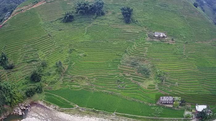 Nhìn từ trên cao, các thửa ruộng bậc thang trông vô cùng thích mắt.