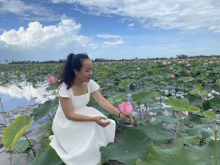 Nhiều người dân, khách qua đường tranh thủ chụp hình cùng những đồng sen. Hầu hết các đồng sen của nông dân đều miễn phí cho du khách.