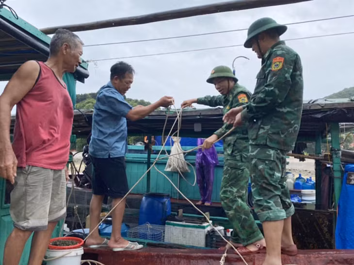 BĐBP đảo Trần, huyện Cô Tô gia cố tàu của ngư dân khi đưa lên bãi biển tránh bão.