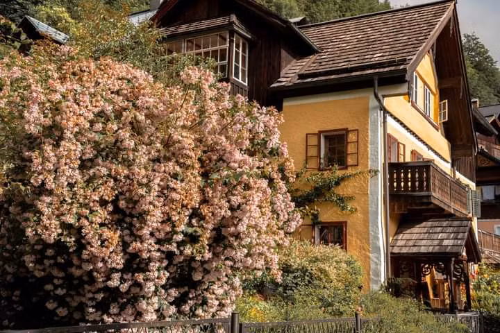 Ở Hallstatt, các ngôi nhà đều dựa lưng vào núi, mặt hướng ra hồ. Ngôi nhà ở đây lưu giữ dấu tích kiến trúc thời Trung cổ, cùng cách trang trí đậm chất phương Tây. “Với những ngôi nhà gỗ xinh xắn, mái ngói đỏ rực rải rác trên những con đường nhỏ lát đá, kiến trúc Hallstatt như đưa tôi vào thế giới cổ tích”, anh Đức Vũ kể.