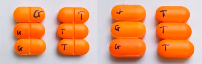 Phân biệt thuốc kháng sinh Cefixime 200 giả (ký hiệu chữ G) và thật (ký hiệu chữ T). Ảnh: Cục Quản lý dược cung cấp