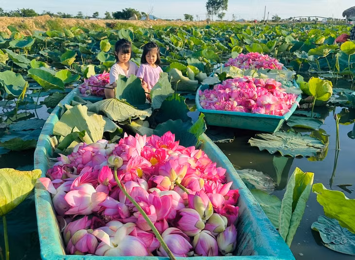 Đây là thành quả của những người trẻ thành phố Hà Tĩnh thực hiện trong nhiều năm qua.