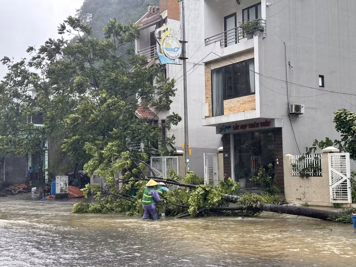 Công nhân vệ sinh môi trường thu gom cây gãy, đổ do mưa bão.