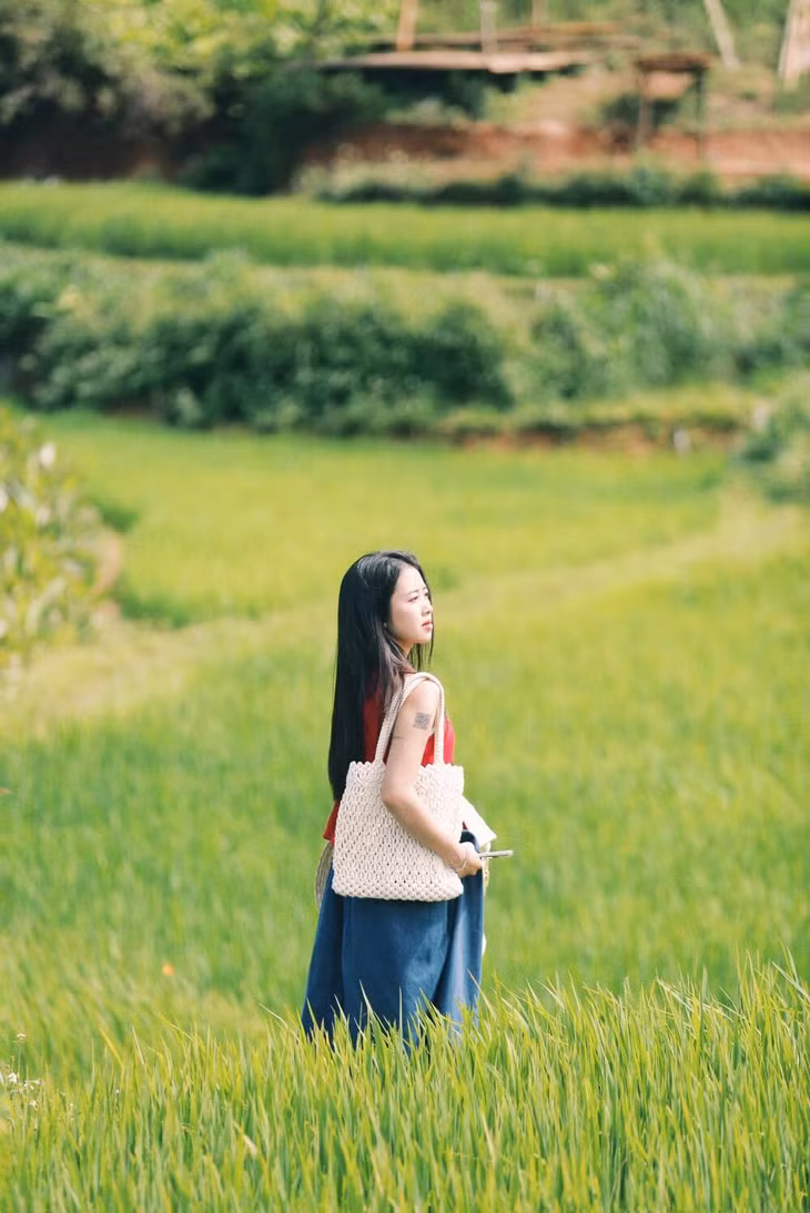 Khách du lịch thường xuyên được tư vấn, dẫn đến tham quan địa điểm này khi có hành trình khám phá Sơn La. Ảnh: NVCC