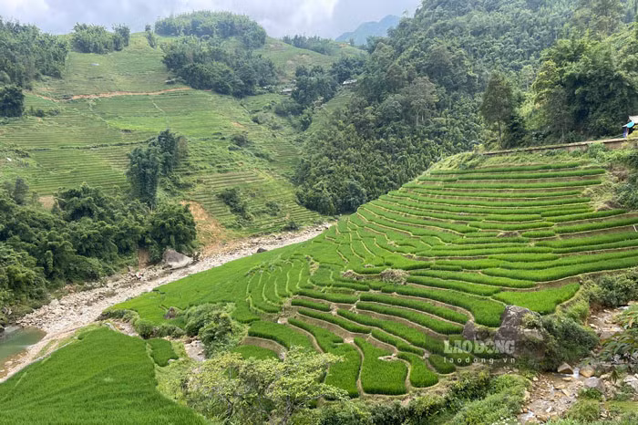 Sa Pa nằm giữa miền sơn cước tuyệt đẹp, được bao quanh bởi những thửa ruộng bậc thang xanh mướt quyến rũ lòng người.