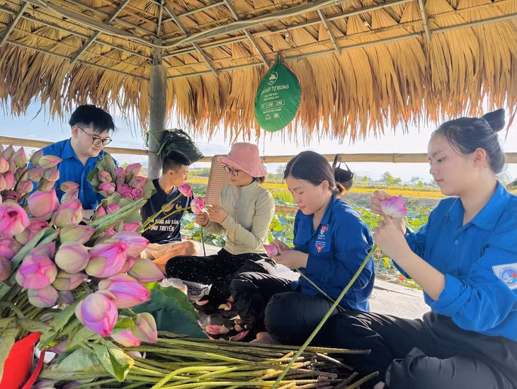 Trước khi tặng miễn phí, đoàn viên thanh niên bẻ cành, tạo dáng để bó hoa sen thêm rực rỡ khi đến tay người dân.
