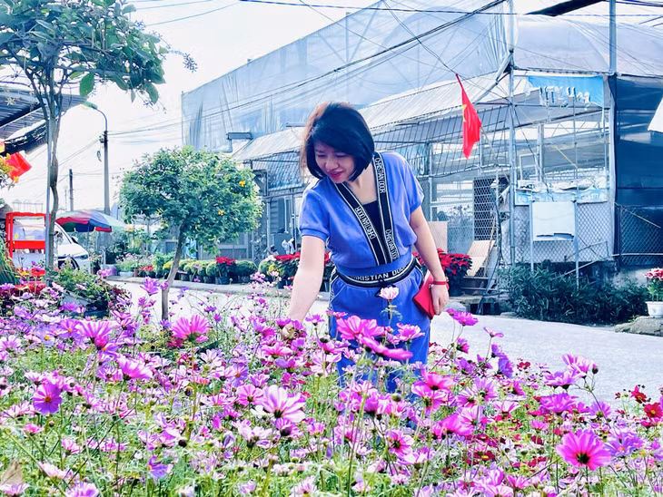 Với vẻ đẹp rực rỡ, mỏng manh, hoa cánh bướm được nhiều người quan tâm tìm mua.