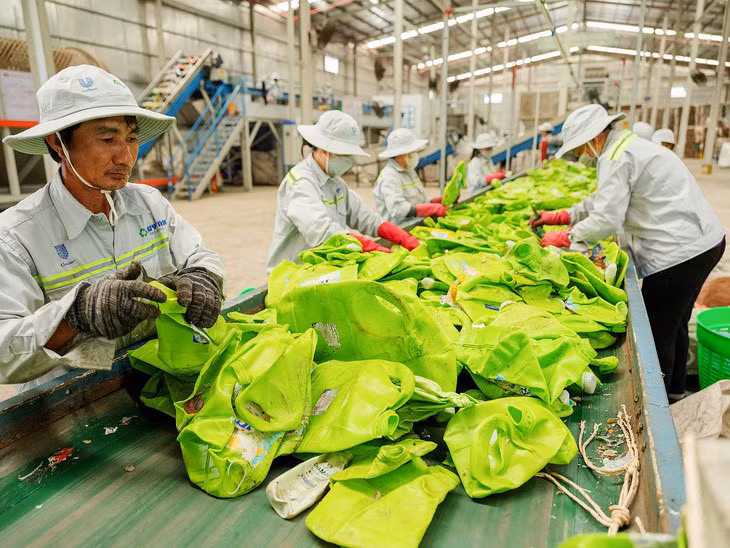 Công nhân phân loại nhựa sau tiêu dùng - Ảnh: PHI VÂN