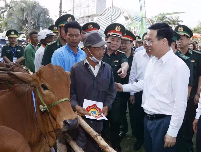 Chủ tịch nước Võ Văn Thưởng tặng bò cho hộ nghèo của chương trình "Xuân biên phòng ấm lòng dân bản". (Ảnh: Thống Nhất/TTXVN)