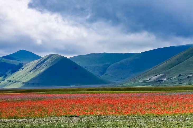 Castelluccio nổi tiếng bởi cánh đồng hoa ở thung lũng bên dưới ngôi làng. Ảnh: Nguyễn Tất Thịnh