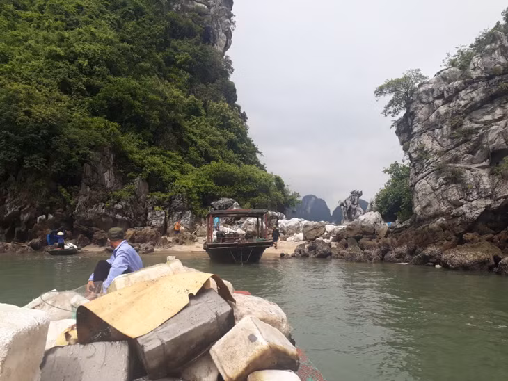 Ban quản lý Vịnh Hạ Long huy động phương tiện, nhân lực thu gom, xử lý phao xốp trôi nổi trên vịnh. Ảnh do đơn vị cung cấp.
