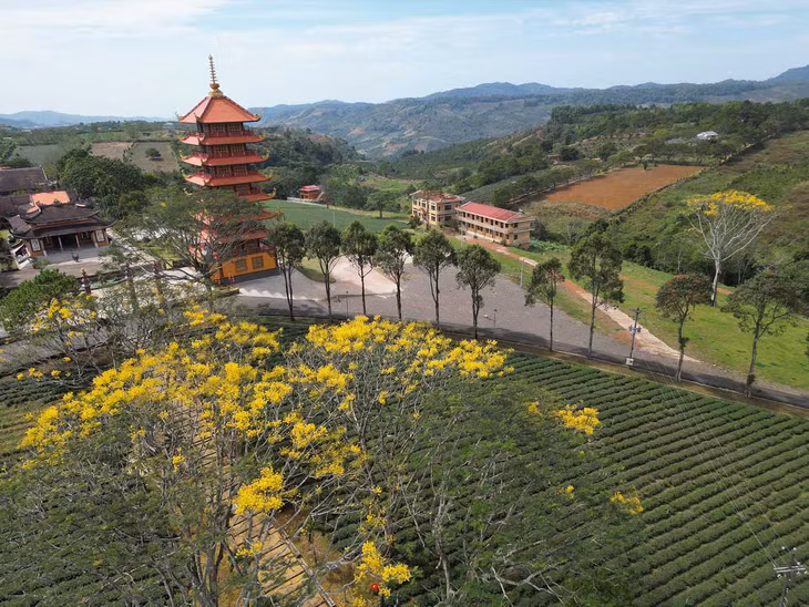 Tu viện nằm trên một ngọn đồi cao, có địa thế đẹp. Đứng từ đây, du khách có thể phóng tầm mắt ngắm nhìn khung cảnh những đồi chè xanh mướt. Ảnh: Luân Lavender