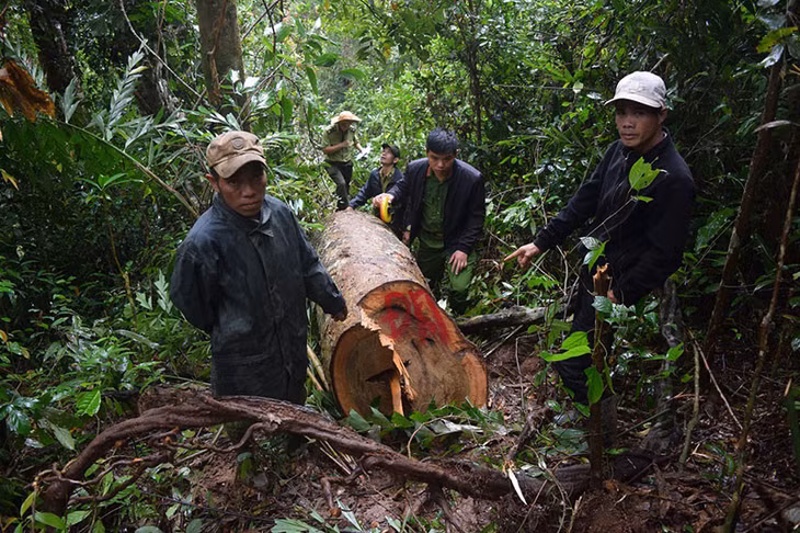 Cơ quan chức năng khám nghiệm hiện trường vụ việc.