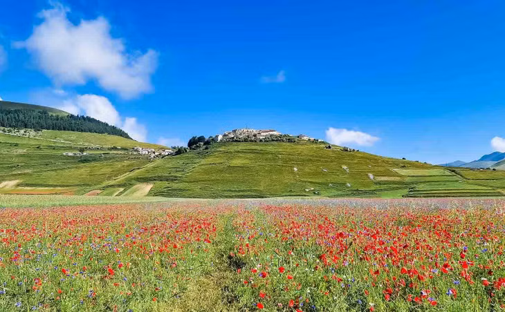 Bên cạnh ngắm hoa, du khách tới Castelluccio có thể tham gia nhiều hoạt động ngoài trời như cưỡi ngựa, đi bộ, dù lượn, nhảy dù hay trượt tuyết vào mùa Đông.