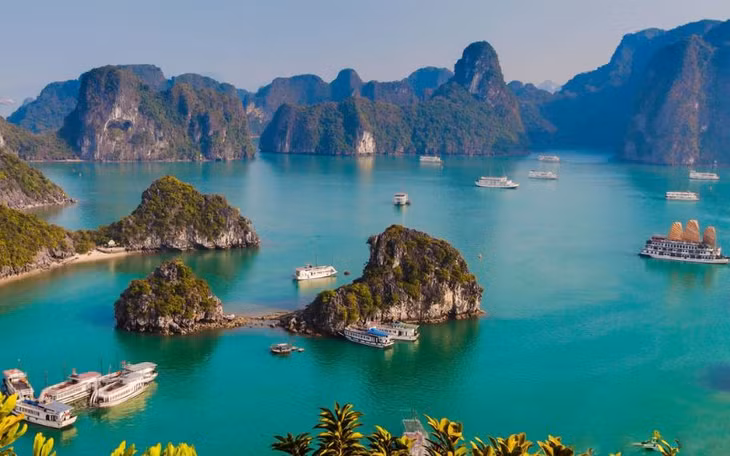 Toàn bộ khung cảnh nhìn từ trên cao của Vịnh Hạ Long nổi tiếng thế giới.