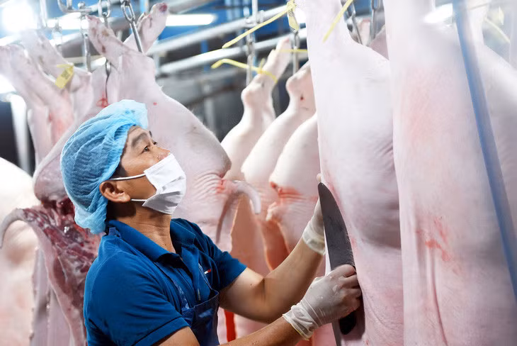 Heo nhập lậu qua biên giới vào Việt Nam khiến người chăn nuôi thiệt hại nặng. Trong ảnh: nhân viên lò giết mổ Thy Thọ (TP Long Khánh, Đồng Nai) chuẩn bị đơn hàng cho khách - Ảnh: A LỘC