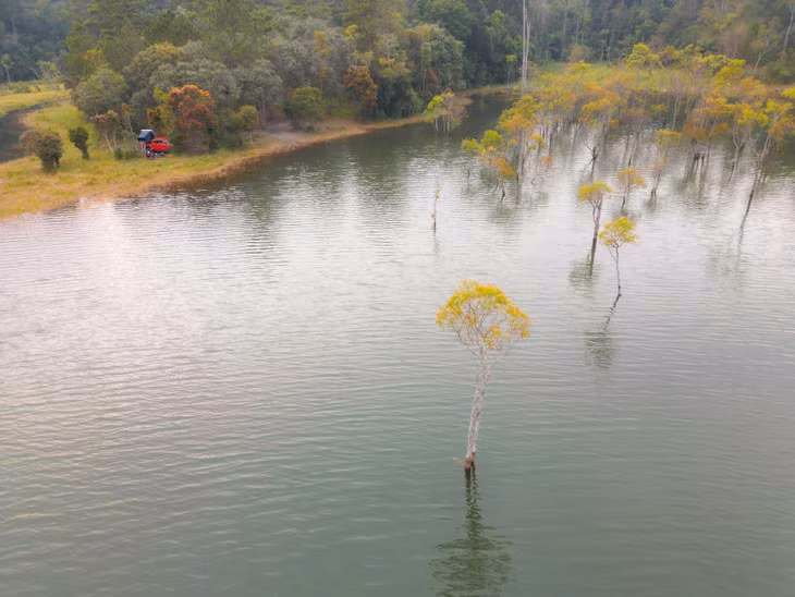 Vào lúc bình minh, khung cảnh Suối Tía toát lên vẻ kỳ ảo. Làn sương mỏng như bốc lên từ mặt hồ, cuốn vào cây chò ngập nước. Khi ánh nắng đầu ngày bắt đầu chiếu xuống, làn sương dần tan, mặt nước trở nên lung linh dưới nắng. Ảnh: Luân Lavender