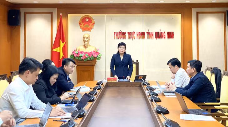 Đồng chí Nguyễn Thị Thu Hà, Phó Trưởng Đoàn Đại biểu Quốc hội tỉnh, phát biểu tại hội nghị.