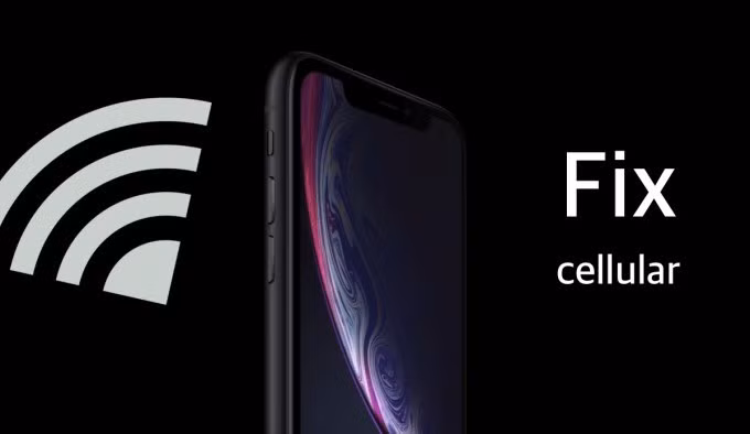 Một số iPhone gặp lỗi kết nối mạng di động khi nâng cấp iOS 17.1.2. Ảnh: Wccftech