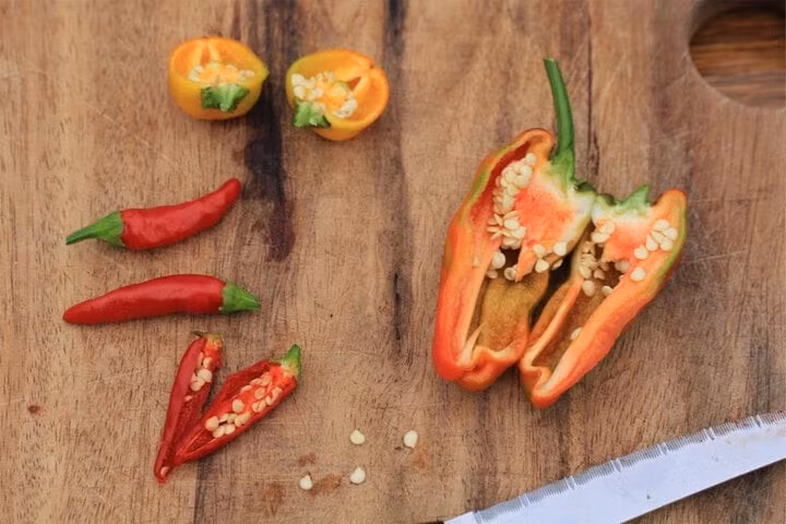 Nên tách hạt ớt trước khi sử dụng. (Ảnh: Theseedcollection)