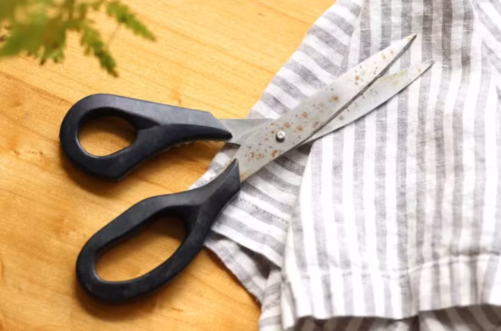 Cần bảo quản kéo đúng cách để kéo không bị rỉ sét (Ảnh: The Spruce)