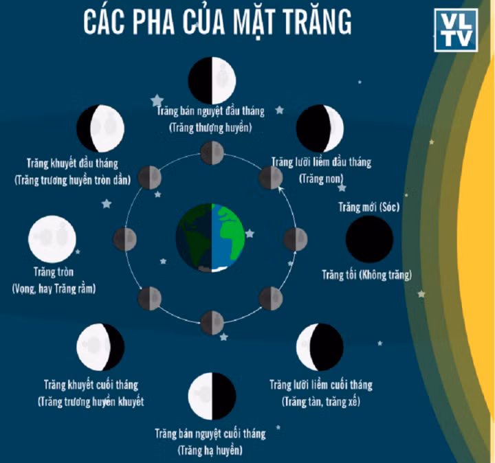 Hình vẽ mô tả các pha của Mặt Trăng tương ứng với vị trí của nó trên quỹ đạo quay quanh Trái Đất. (Ảnh: Vật Lý Thiên Văn)