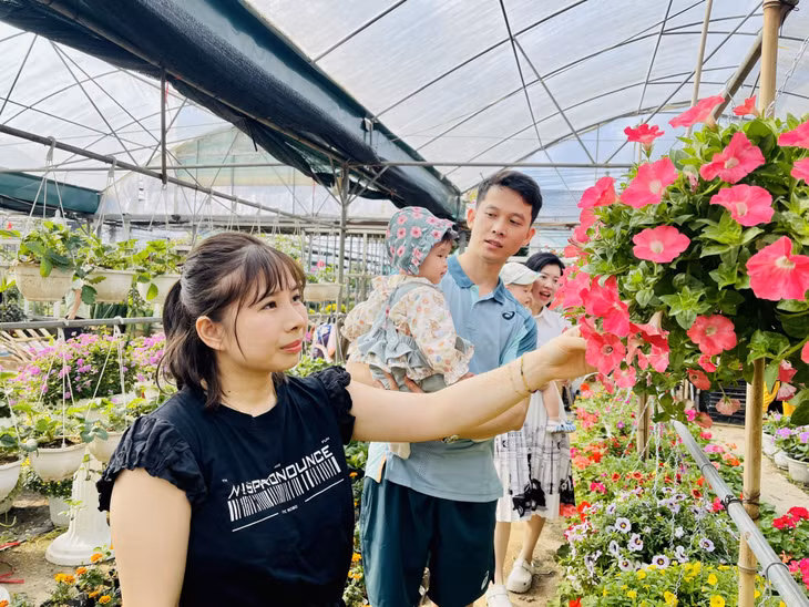 Cuối tuần, nhiều gia đình tranh thủ thời gian đưa con em đến tham quan, lựa chọn hoa Tết.