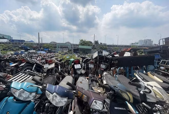 Nhiều xe vi phạm trong đó có vi phạm nồng độ cồn nằm ngổn ngang ở bãi giữ xe vi phạm. Ảnh: Minh Quân