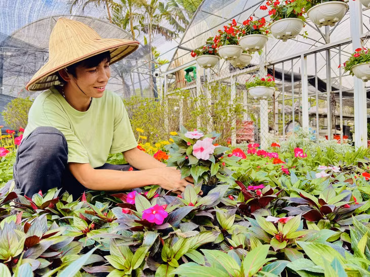 Theo nhiều chủ vườn, năm nay chất lượng hoa rất đẹp, giá thành phù hợp. Một số loại hoa có xu hướng giảm hơn so với năm, như: Dạ yến, cúc, cánh bướm... Các loại hoa như ly, dơn, lan... sẽ nhỉnh hơn mọi năm từ 5-10 nghìn đồng/cành/bông, bởi có nhiều giống mới và chất lượng tốt.