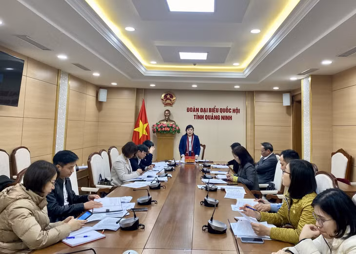 Đồng chí Nguyễn Thị Thu Hà, Phó trưởng Đoàn ĐBQH tỉnh, chủ trì cuộc họp.