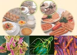 Bộ Y tế yêu cầu đẩy mạnh hoạt động thông tin, tuyên truyền về nguy cơ mất an toàn thực phẩm và các biện pháp bảo đảm an toàn thực phẩm, phòng ngừa ngộ độc thực phẩm nhằm nâng cao nhận thức, ý thức của cộng đồng.