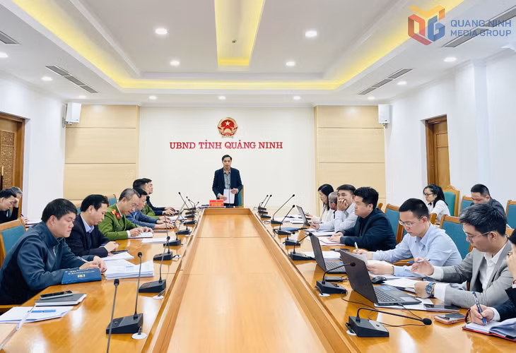 Đồng chí Vũ Văn Diện, Ủy viên Ban Thường vụ Tỉnh ủy, Phó Chủ tịch Thường trực UBND tỉnh, phát biểu chỉ đạo tại cuộc họp.