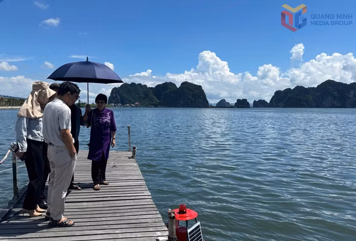 Ban Tổ chức Hội thi Sáng tạo kỹ thuật tỉnh lần thứ X khảo sát hệ thống phao thông minh quan trắc tự động chất lượng nước biển ven bờ ứng dụng công nghệ IOT và năng lượng mặt trời. Ảnh: Cao Quỳnh