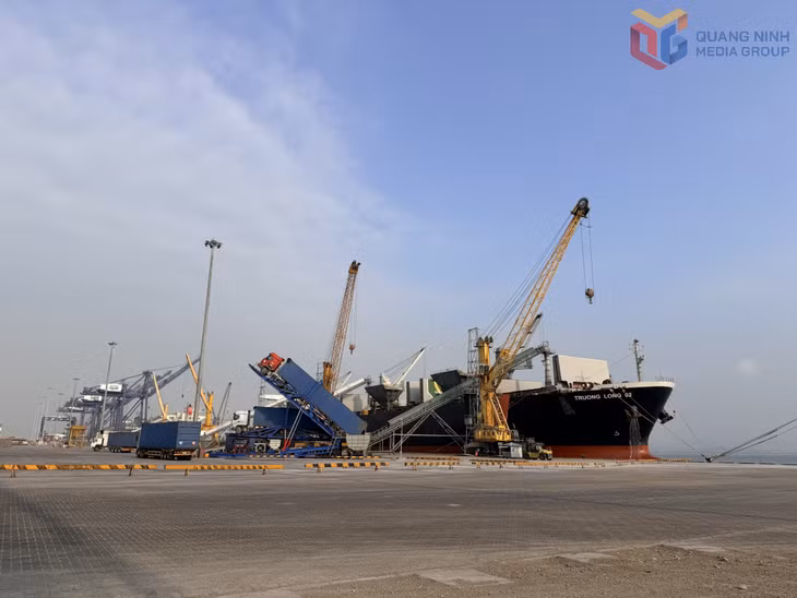 Công ty Cổ phần Cảng Quảng Ninh thực hiện bốc xếp hàng hoá.