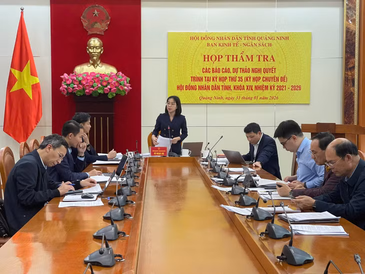Đồng chí Vũ Ngọc Hà, Trưởng Ban Kinh tế - Ngân sách HĐND tỉnh, phát biểu tại cuộc họp.