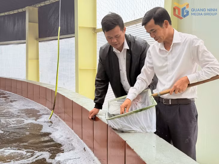 Anh Đặng Bá Mạnh, thôn Đồng Cói, xã Hải Hòa (bên phải) làm giàu từ mô hình nuôi tôm công nghệ.