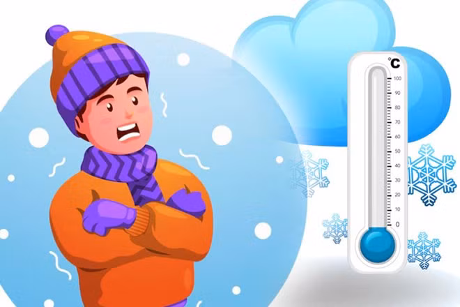 Trao đổi chất và vai trò trong khả năng chịu lạnh của con người. Đồ họa: Thiện Nhân