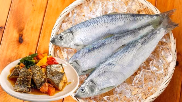 Cá giàu omega-3 tốt cho nhiều người. Ảnh đồ hoạ: Hương Sơn