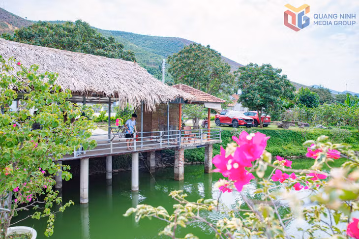 Mô hình trồng ổi kết hợp du lịch sinh thái cho hiệu quả kinh tế cao.