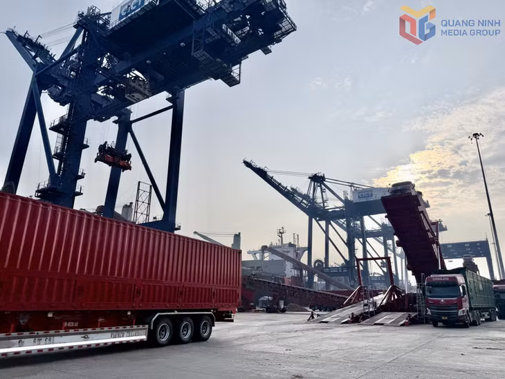 Công ty TNHH Cảng Container Quốc tế Cái Lân bố trí nhân lực, phương tiện, thiết bị để bốc xếp hàng hóa nhằm giải phóng tàu trong thời gian sớm nhất.