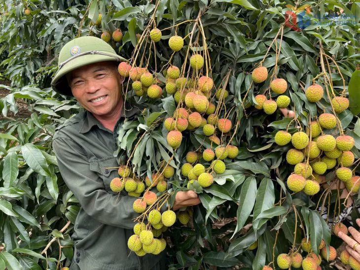 Các sản phẩm OCOP của Quảng Ninh tiếp tục được nâng tầm về chất lượng, thương hiệu. Ảnh: Nguyên Ngọc