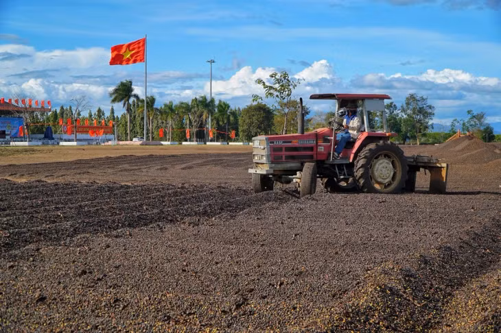 Tây Nguyên mùa này rất đẹp, đây cũng là dịp duy nhất trong năm để du khách cảm nhận vẻ đẹp của mùa phơi cà phê - Ảnh: TRƯỜNG NGUYÊN