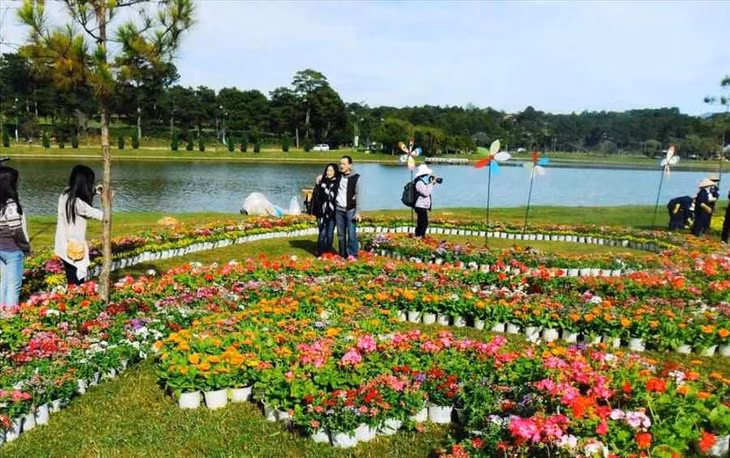 Đà Lạt thuộc top 10 điểm đến được khách Việt tìm kiếm nhiều nhất dịp Tết Nguyên đán 2026. Ảnh: Văn Hào