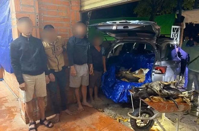 Cơ quan chức năng triệt phát 2 tụ điểm nghi trộm cắp, tiêu thụ chó quy mô lớn; bắt giữ 9 đối tượng, thu giữ hơn 1,5 tấn tang vật. Ảnh: Công an cung cấp