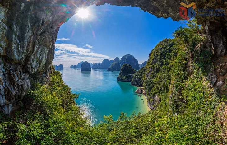 Hệ thảm thực vật trên vịnh Bái Tử Long vô cùng phong phú với gần 800 loài...
